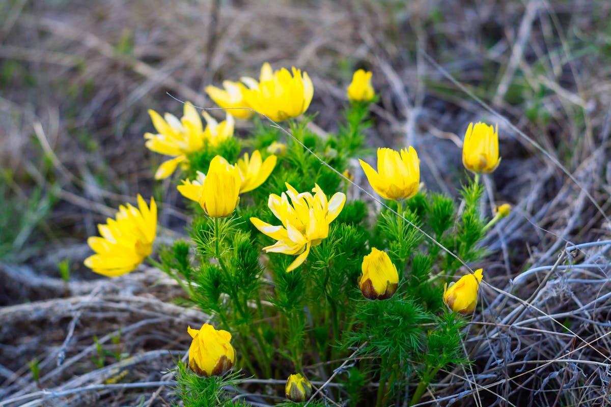 Senior school students engaged in advanced projects